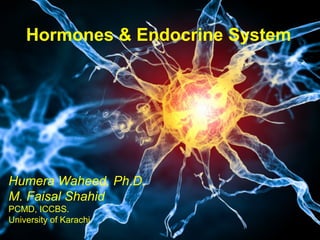 Hormones & Endocrine System
Humera Waheed, Ph.D.
M. Faisal Shahid
PCMD, ICCBS.
University of Karachi
 