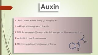 ROLE OF GROWTH HORMONES IN PLANT DISEASE | PDF