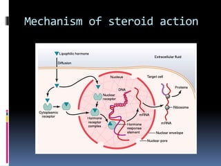 Mechanism of steroid action
 