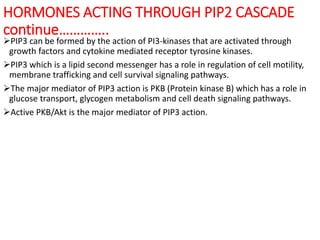 Pip3 Function Hormones | PPTX