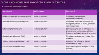 GROUP II. HORMONES THAT BIND TO CELL SURFACE RECEPTORS
A. The second messenger is cAMP
Hormone(s) Origin Major Function(s)
Adrenocorticotropic hormone (ACTH) Anterior pituitary Stimulates the release of
adrenocorticosteroids
Follicle stimulating hormone (FSH) Anterior pituitary In females, stimulates ovulation and
estrogen synthesis. In males, promotes
spermatogenesis.
Luteinizing hormone (LH) Anterior pituitary Stimulates synthesis of estrogens and
progesterone and causes ovulation.
Promotes androgen synthesis by testes.
Chorionic gonadotropin (hCG) Anterior pituitary Stimulates progesterone release from
placenta
Thyroid stimulating hormone (TSH) Anterior pituitary Promotes the release of thyroid
hormones (T3 , T4 )
E-Endorphins and enkephalins Anterior pituitary Natural endogenous analgesics (pain
relievers).
 