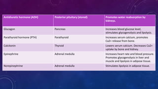 Antidiuretic hormone (ADH) Posterior pituitary (stored) Promotes water reabsorption by
kidneys.
Glucagon Pancreas Increases blood glucose level,
stimulates glycogenolysis and lipolysis.
Parathyroid hormone (PTH) Parathyroid Increases serum calcium, promotes
Ca2+ release from bone.
Calcitonin Thyroid Lowers serum calcium. Decreases Ca2+
uptake by bone and kidney.
Epinephrine Adrenal medulla Increases heart rate and blood pressure.
Promotes glycogenolysis in liver and
muscle and lipolysis in adipose tissue.
Norepinephrine Adrenal medulla Stimulates lipolysis in adipose tissue.
 
