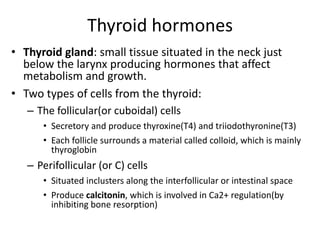 Thyroid hormones
• Thyroid gland: small tissue situated in the neck just
below the larynx producing hormones that affect
metabolism and growth.
• Two types of cells from the thyroid:
– The follicular(or cuboidal) cells
• Secretory and produce thyroxine(T4) and triiodothyronine(T3)
• Each follicle surrounds a material called colloid, which is mainly
thyroglobin
– Perifollicular (or C) cells
• Situated inclusters along the interfollicular or intestinal space
• Produce calcitonin, which is involved in Ca2+ regulation(by
inhibiting bone resorption)
 