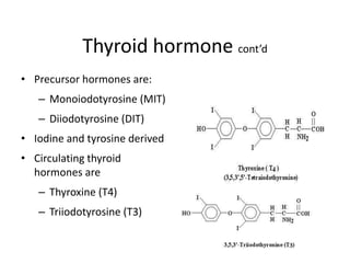 Thyroid hormone cont’d
• Precursor hormones are:
– Monoiodotyrosine (MIT)
– Diiodotyrosine (DIT)
• Iodine and tyrosine derived
• Circulating thyroid
hormones are
– Thyroxine (T4)
– Triiodotyrosine (T3)
 
