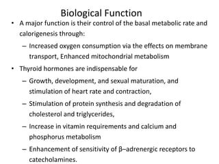 Biological Function
• A major function is their control of the basal metabolic rate and
calorigenesis through:
– Increased oxygen consumption via the effects on membrane
transport, Enhanced mitochondrial metabolism
• Thyroid hormones are indispensable for
– Growth, development, and sexual maturation, and
stimulation of heart rate and contraction,
– Stimulation of protein synthesis and degradation of
cholesterol and triglycerides,
– Increase in vitamin requirements and calcium and
phosphorus metabolism
– Enhancement of sensitivity of β–adrenergic receptors to
catecholamines.
 