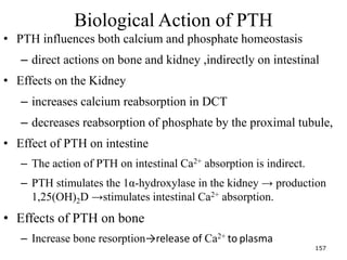Biological Action of PTH
• PTH influences both calcium and phosphate homeostasis
– direct actions on bone and kidney ,indirectly on intestinal
• Effects on the Kidney
– increases calcium reabsorption in DCT
– decreases reabsorption of phosphate by the proximal tubule,
• Effect of PTH on intestine
– The action of PTH on intestinal Ca2+ absorption is indirect.
– PTH stimulates the 1α-hydroxylase in the kidney → production
1,25(OH)2D →stimulates intestinal Ca2+ absorption.
• Effects of PTH on bone
– Increase bone resorption→release of Ca2+ to plasma
157
 