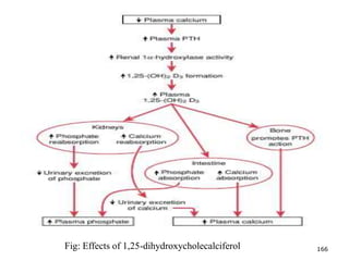 Fig: Effects of 1,25-dihydroxycholecalciferol 166
 