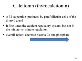 Calcitonin (thyrocalcitonin)
• A 32 aa peptide produced by parafollicular cells of the
thyroid gland
• It fine-tunes the calcium regulatory system, but not in
the minute-to- minute regulation
• overall action: decrease plasma Ca and phosphate
169
 