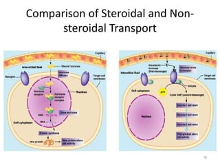 Comparison of Steroidal and Non-
steroidal Transport
18
 