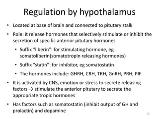 Regulation by hypothalamus
• Located at base of brain and connected to pitutary stalk
• Role: it release hormones that selectively stimulate or inhibit the
secretion of specific anterior pitutary hormones
• Suffix “liberin”: for stimulating hormone, eg
somatoliberin(somatotropin releasing hormones)
• Suffix “statin”: for inhibitor, eg somatostatin
• The hormones include: GHRH, CRH, TRH, GnRH, PRH, PIF
• It is activated by CNS, emotion or stress to secrete releasing
factors → stimulate the anterior pitutary to secrete the
appropriate tropic hormones
• Has factors such as somatostatin (inhibit output of GH and
prolactin) and dopamine 22
 