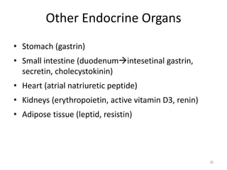 Other Endocrine Organs
• Stomach (gastrin)
• Small intestine (duodenumintesetinal gastrin,
secretin, cholecystokinin)
• Heart (atrial natriuretic peptide)
• Kidneys (erythropoietin, active vitamin D3, renin)
• Adipose tissue (leptid, resistin)
30
 