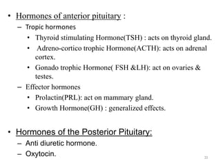 • Hormones of anterior pituitary :
– Tropic hormones
• Thyroid stimulating Hormone(TSH) : acts on thyroid gland.
• Adreno-cortico trophic Hormone(ACTH): acts on adrenal
cortex.
• Gonado trophic Hormone( FSH &LH): act on ovaries &
testes.
– Effector hormones
• Prolactin(PRL): act on mammary gland.
• Growth Hormone(GH) : generalized effects.
• Hormones of the Posterior Pituitary:
– Anti diuretic hormone.
– Oxytocin. 33
 