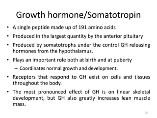 Growth hormone/Somatotropin
• A single peptide made up of 191 amino acids
• Produced in the largest quantity by the anterior pituitary
• Produced by somatotrophs under the control GH releasing
hormones from the hypothalamus.
• Plays an important role both at birth and at puberty
– Coordinates normal growth and development.
• Receptors that respond to GH exist on cells and tissues
throughout the body.
• The most pronounced effect of GH is on linear skeletal
development, but GH also greatly increases lean muscle
mass.
35
 