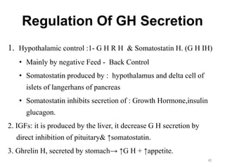 Regulation Of GH Secretion
1. Hypothalamic control :1- G H R H & Somatostatin H. (G H IH)
• Mainly by negative Feed - Back Control
• Somatostatin produced by : hypothalamus and delta cell of
islets of langerhans of pancreas
• Somatostatin inhibits secretion of : Growth Hormone,insulin
glucagon.
2. IGFs: it is produced by the liver, it decrease G H secretion by
direct inhibition of pituitary& ↑somatostatin.
3. Ghrelin H, secreted by stomach→ ↑G H + ↑appetite.
40
 
