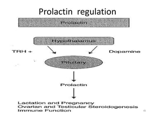 Prolactin regulation
49
 