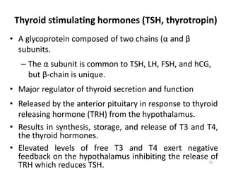 Thyroid stimulating hormones (TSH, thyrotropin)
• A glycoprotein composed of two chains (α and β
subunits.
– The α subunit is common to TSH, LH, FSH, and hCG,
but β-chain is unique.
• Major regulator of thyroid secretion and function
• Released by the anterior pituitary in response to thyroid
releasing hormone (TRH) from the hypothalamus.
• Results in synthesis, storage, and release of T3 and T4,
the thyroid hormones.
• Elevated levels of free T3 and T4 exert negative
feedback on the hypothalamus inhibiting the release of
TRH which reduces TSH. 53
 