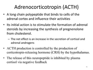 Adrenocorticotropin (ACTH)
• A long chain polypeptide that binds to cells of the
adrenal cortex and influence their activities
• Its initial action is to stimulate the formation of adrenal
steroids by increasing the synthesis of pregnenolone
from cholesterol.
– The net effect is an increase in the secretion of cortisol and
adrenal androgens
• ACTH production is controlled by the production of
corticotropin-releasing hormone (CRH) by the hypothalamus.
• The release of this neuropeptide is inhibited by plasma
cortisol via negative feedback
55
 