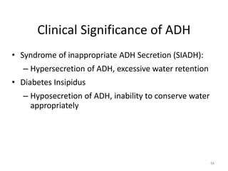 Clinical Significance of ADH
• Syndrome of inappropriate ADH Secretion (SIADH):
– Hypersecretion of ADH, excessive water retention
• Diabetes Insipidus
– Hyposecretion of ADH, inability to conserve water
appropriately
64
 