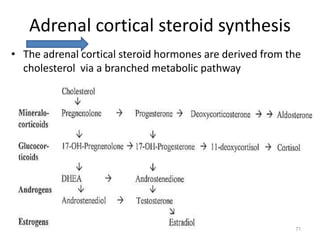 Adrenal cortical steroid synthesis
• The adrenal cortical steroid hormones are derived from the
cholesterol via a branched metabolic pathway
71
 