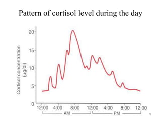 Pattern of cortisol level during the day
78
 