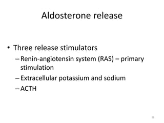 Aldosterone release
• Three release stimulators
–Renin-angiotensin system (RAS) – primary
stimulation
–Extracellular potassium and sodium
–ACTH
89
 