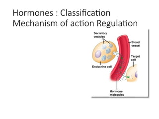 Comprehensive Overview of Hormones: Classification, Mechanism, and ...