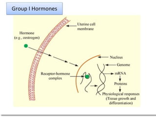 Comprehensive Overview of Hormones: Classification, Mechanism, and ...