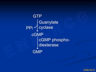 Hormones - general features | PPTX