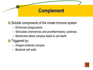 Complement <ul><li>Soluble components of the innate immune system </li></ul><ul><ul><li>Enhanced phagocytosis </li></ul></...
