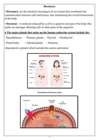thyroid gland hormones thyroid gland hormones
