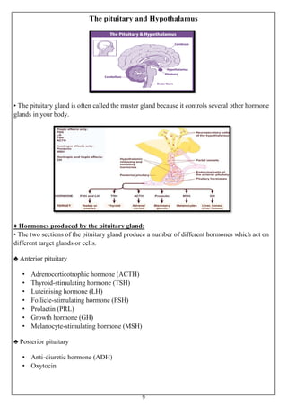 Parathyroid gland and The pituitary and Hypothalamus | PDF