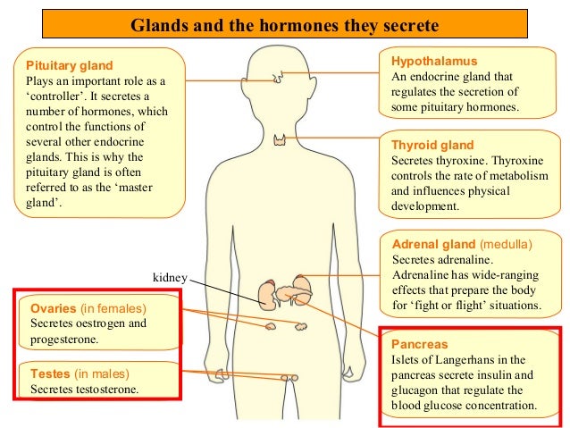 Hormones 2015