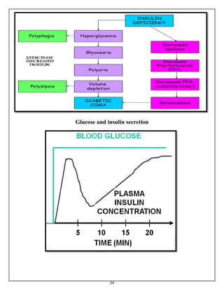 Glucose Metabolism and Diabetes | PDF