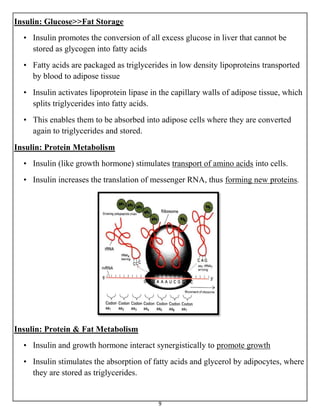 Glucose Metabolism and Diabetes | PDF