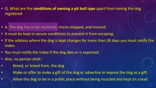 • Q. What are the conditions of owning a pit bull type apart from having the dog
registered
• A. The dog has to be neutered, micro-chipped, and insured.
• It must be kept in secure conditions to prevent it from escaping.
• If the address where the dog is kept changes for more than 30 days you must notify the
Index.
• You must notify the Index if the dog dies or is exported.
• Also, no person shall:-
• Breed, or breed from, the dog
• Make or offer to make a gift of the dog or advertise or expose the dog as a gift
• Allow the dog to be in a public place without being muzzled and kept on a lead
 
