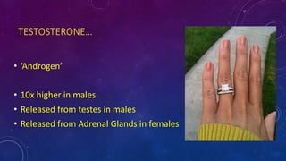 TESTOSTERONE…
• ‘Androgen’
• 10x higher in males
• Released from testes in males
• Released from Adrenal Glands in females
 