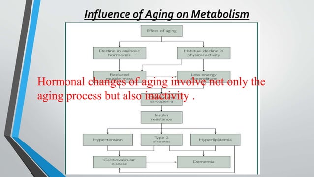 Hormones and Aging “Exploring the roles of hormones in aging process.pptx