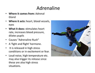 • Where it comes from: Adrenal
Gland
• Where it acts: heart, blood vessels,
eyes
• What it does: stimulates heart
rate, increases blood pressure,
dilates pupils
• Causes "Adrenaline Rush”
• A 'fight and flight' hormone.
• It is released in high stress
conditions or in excitement or fear.
• Loud noise, high temperature etc.
may also trigger its release since
these are also high stress
situations.
Adrenaline
 