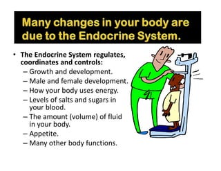 • The Endocrine System regulates,
coordinates and controls:
– Growth and development.
– Male and female development.
– How your body uses energy.
– Levels of salts and sugars in
your blood.
– The amount (volume) of fluid
in your body.
– Appetite.
– Many other body functions.
 
