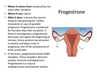 • Where it comes from: produced by the
ovary after ovulation
• Where it acts: uterus
• What it does: instructs the uterine
lining to stop growing for further
maturation in case of possible
pregnancy. Progesterone is produced
for fourteen days after ovulation. If
there is no pregnancy, progesterone
decreases and signals the beginning of
menses, hence controls menstruation
in women and plays a role in
pregnancy; one of the components of
birth control pills
• In the brain, progesterone binds GABA
receptors. These receptors decrease
anxiety, insomnia and depression.
Progesterone is a natural
antidepressant and prevents anxiety.
Progestrone
 
