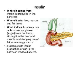 • Where it comes from:
Insulin is produced in the
pancreas
• Where it acts: liver, muscle,
and fat tissue
• What it does: Insulin causes
cells to take up glucose
(sugar) from the blood,
storing it in the liver and
muscle, and stopping use of
fat as an energy source.
• Problems with insulin
production or use in the
body can lead to diabetes.
Insulin
 