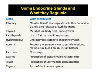 Gland What it Regulates
Pituitary “Master Gland” that regulates all other Endocrine
Glands, also releases growth hormone
Thyroid Metabolism, body heat, bone growth
Parathyroids Use of Calcium and Phosphorous
Hypothalamus Links nervous system to endocrine system
Adrenal Response in emergency or stressful situations,
metabolism, blood pressure, salt balance
Pancreas Blood sugar
Ovaries Production of eggs; female characteristics
Testes Production of sperm; male characteristics
Thymus Parts of the immune system
 
