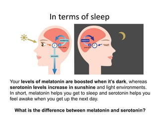 In terms of sleep
Your levels of melatonin are boosted when it’s dark, whereas
serotonin levels increase in sunshine and light environments.
In short, melatonin helps you get to sleep and serotonin helps you
feel awake when you get up the next day.
What is the difference between melatonin and serotonin?
 