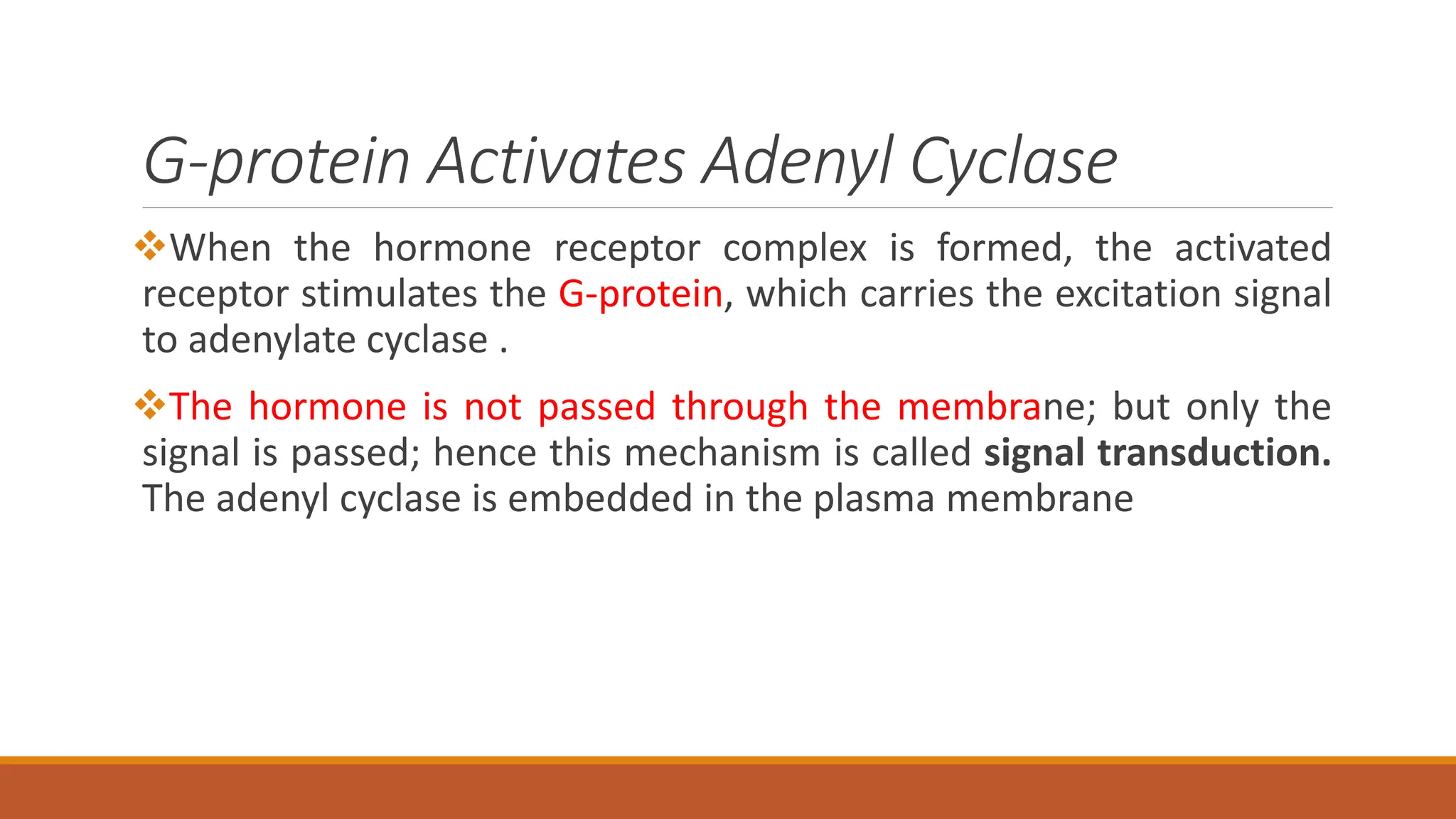 G-protein Activates Adenyl Cyclase
❖When the hormone receptor complex is formed, the activated
receptor stimulates the G-protein, which carries the excitation signal
to adenylate cyclase .
❖The hormone is not passed through the membrane; but only the
signal is passed; hence this mechanism is called signal transduction.
The adenyl cyclase is embedded in the plasma membrane
 