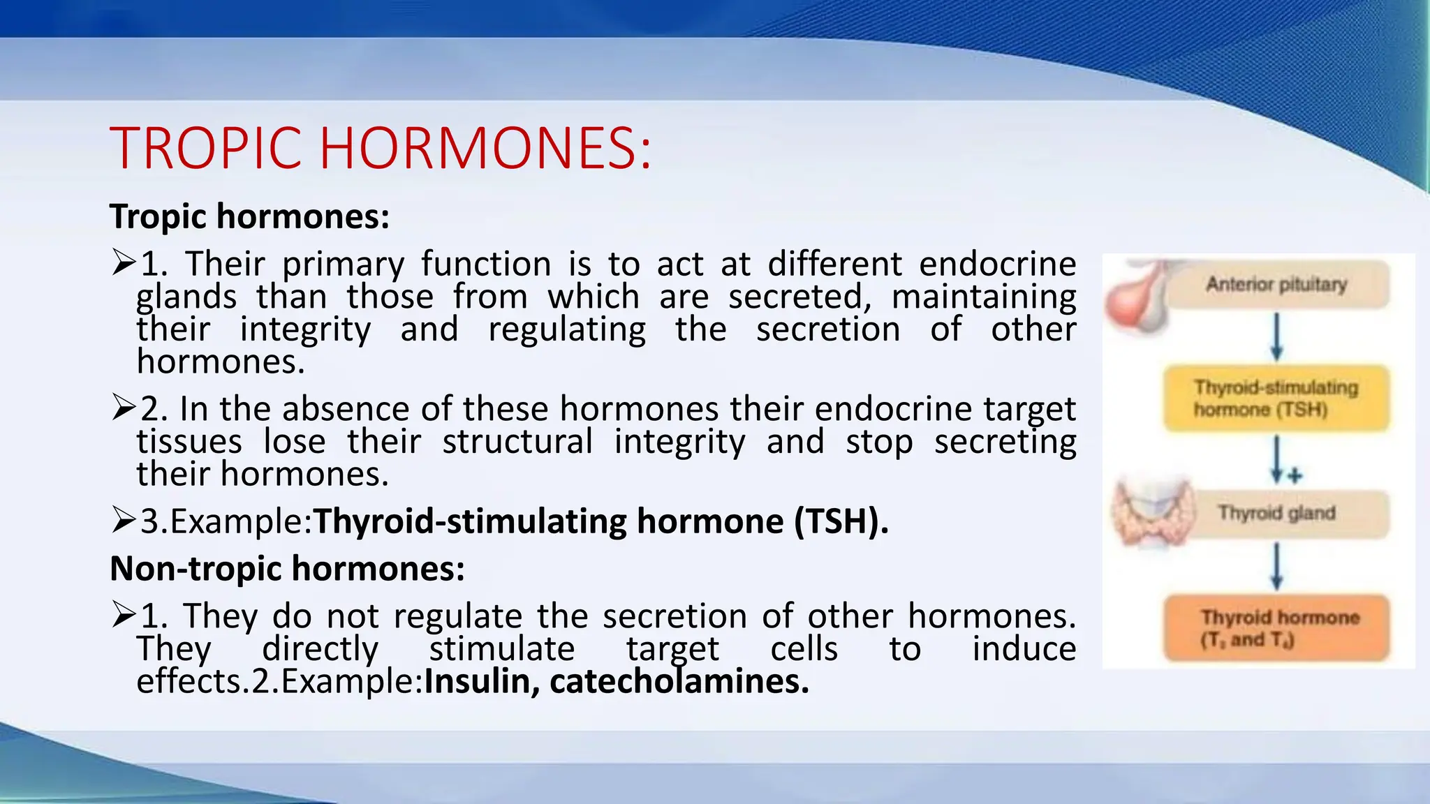 TROPIC HORMONES:
Tropic hormones:
➢1. Their primary function is to act at different endocrine
glands than those from which are secreted, maintaining
their integrity and regulating the secretion of other
hormones.
➢2. In the absence of these hormones their endocrine target
tissues lose their structural integrity and stop secreting
their hormones.
➢3.Example:Thyroid-stimulating hormone (TSH).
Non-tropic hormones:
➢1. They do not regulate the secretion of other hormones.
They directly stimulate target cells to induce
effects.2.Example:Insulin, catecholamines.
 