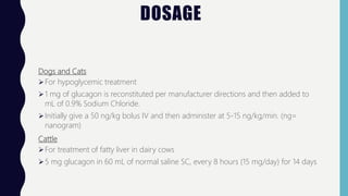 DOSAGE
Dogs and Cats
For hypoglycemic treatment
1 mg of glucagon is reconstituted per manufacturer directions and then added to
mL of 0.9% Sodium Chloride.
Initially give a 50 ng/kg bolus IV and then administer at 5-15 ng/kg/min. (ng=
nanogram)
Cattle
For treatment of fatty liver in dairy cows
5 mg glucagon in 60 mL of normal saline SC, every 8 hours (15 mg/day) for 14 days
 
