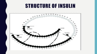 STRUCTURE OF INSULIN
 