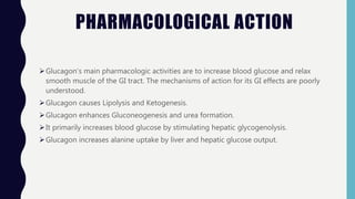 PHARMACOLOGICAL ACTION
Glucagon’s main pharmacologic activities are to increase blood glucose and relax
smooth muscle of the GI tract. The mechanisms of action for its GI effects are poorly
understood.
Glucagon causes Lipolysis and Ketogenesis.
Glucagon enhances Gluconeogenesis and urea formation.
It primarily increases blood glucose by stimulating hepatic glycogenolysis.
Glucagon increases alanine uptake by liver and hepatic glucose output.
 