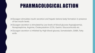 PHARMACOLOGICAL ACTION
Glucagon stimulates insulin secretion and hepatic ketone body formation in presence
of low insulin levels.
Glucagon secretion is stimulated by Low levels of blood glucose (hypoglycemia),
Norepinephrine, Arginine, Cholecystokinin (CCK), Gastrin, Glucocorticoids etc.
Glucagon secretion is inhibited by High blood glucose, Somatostatin, GABA, Fatty
acids.
 