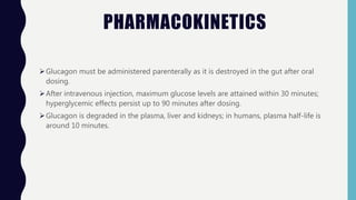 PHARMACOKINETICS
Glucagon must be administered parenterally as it is destroyed in the gut after oral
dosing.
After intravenous injection, maximum glucose levels are attained within 30 minutes;
hyperglycemic effects persist up to 90 minutes after dosing.
Glucagon is degraded in the plasma, liver and kidneys; in humans, plasma half-life is
around 10 minutes.
 